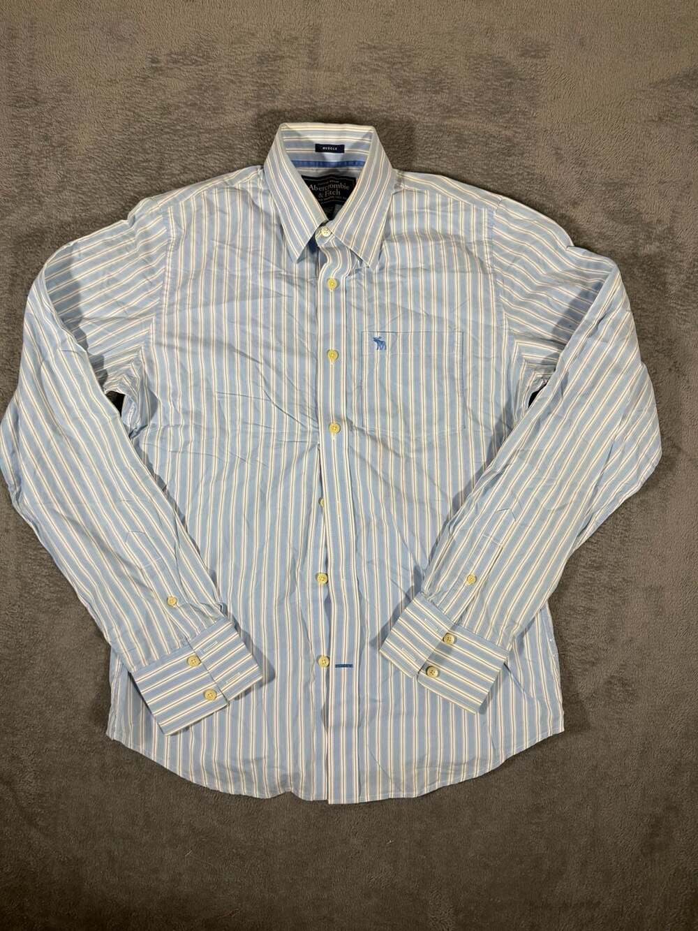 Abercrombie & Fitch Muscle Fit Striped Button Up Shirt Size M
